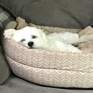 Meet your Posher, Danny